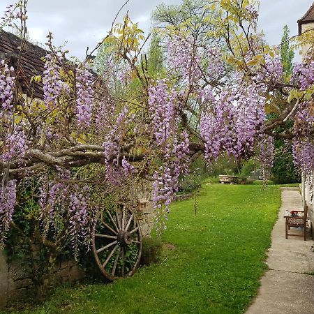 Le Moulin De Jules Et Akasha Bed & Breakfast Murat Eksteriør bilde
