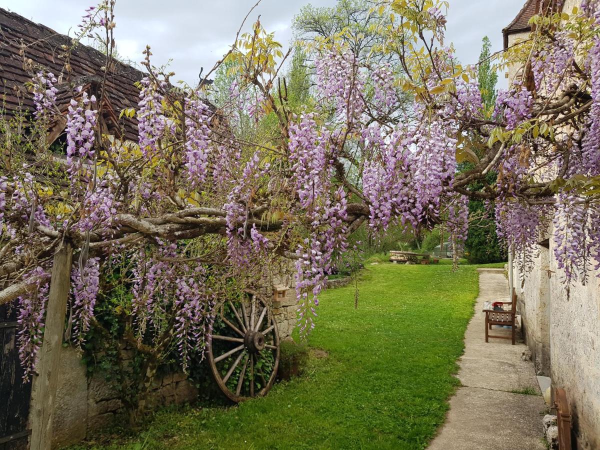 Le Moulin De Jules Et Akasha Bed & Breakfast Murat Eksteriør bilde